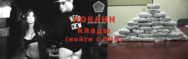 шишки Зеленодольск