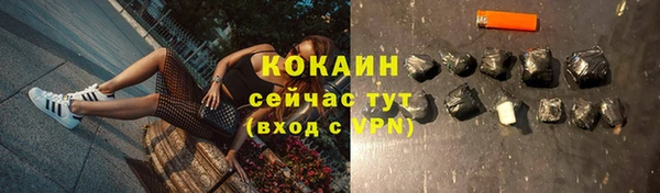 шишки Зеленодольск